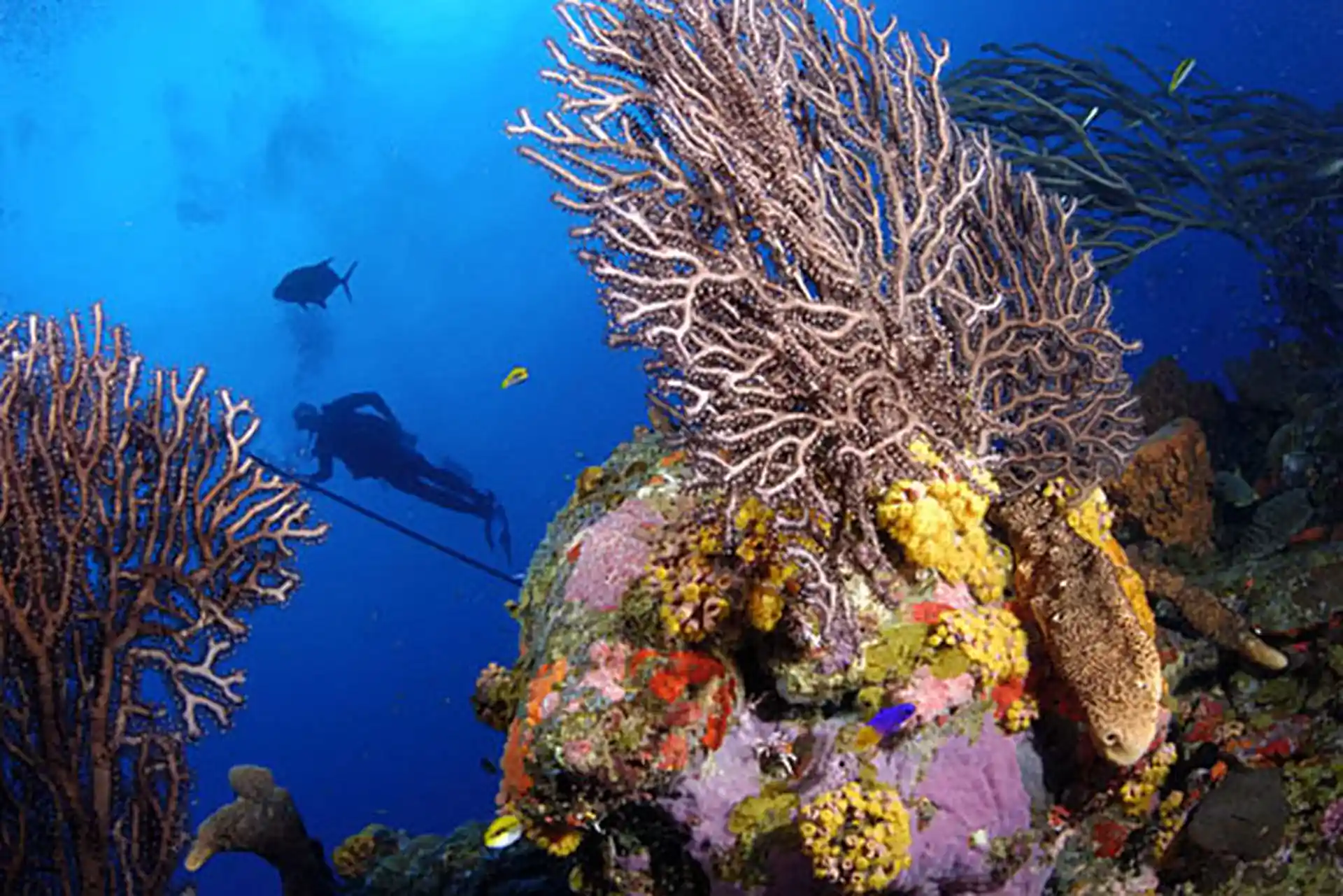 Dive shop photo