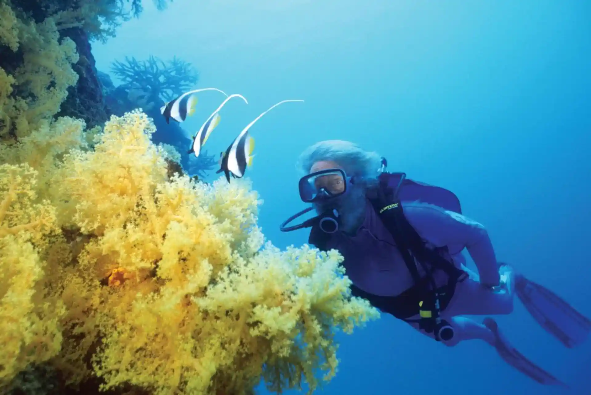 Foto de la tienda de buceo