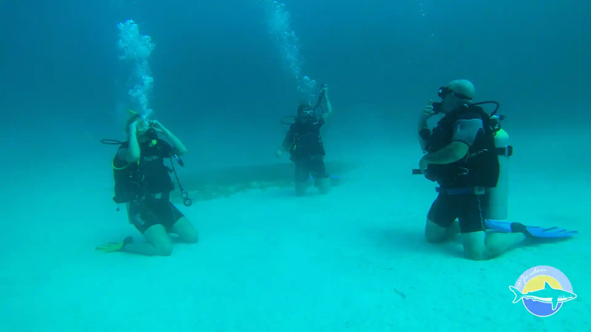 Foto de la actividad