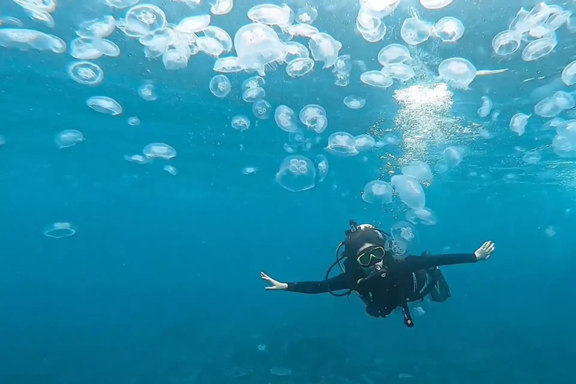 Dive site photo