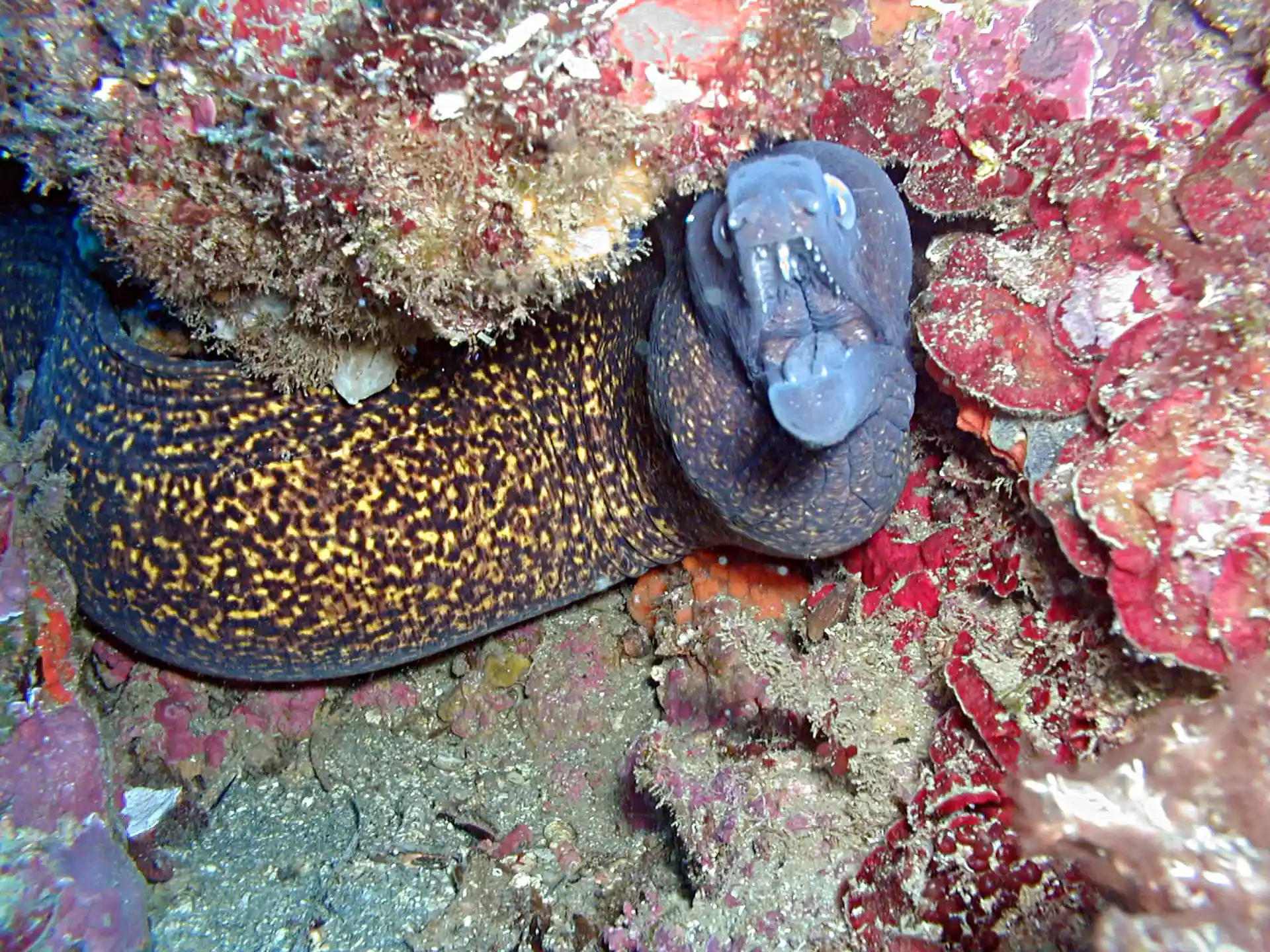 Foto des Tauchplatzes