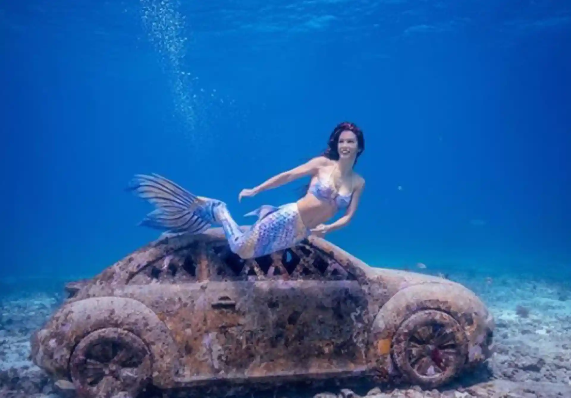 Dive shop photo