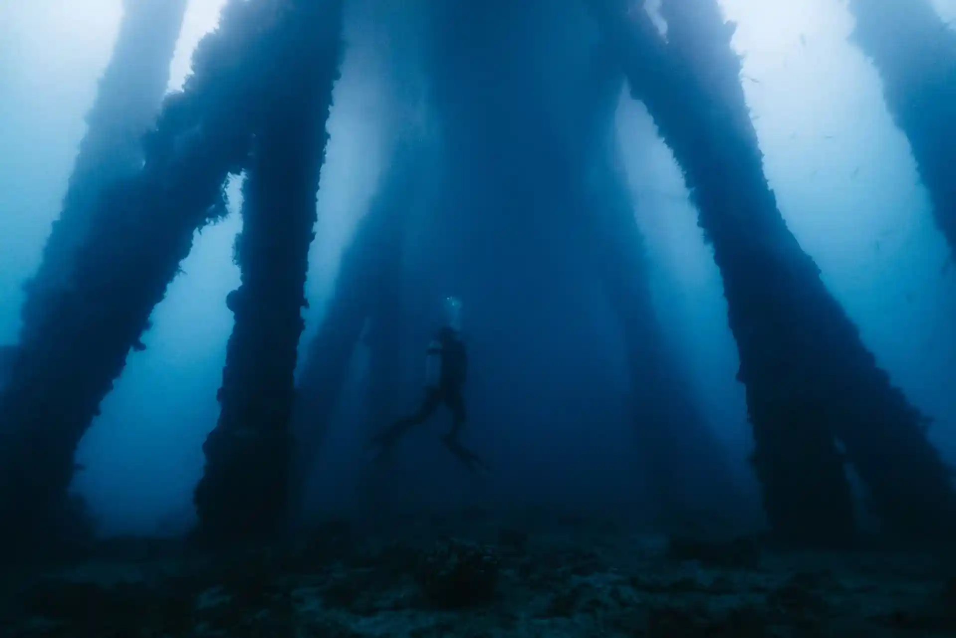 Dive shop photo