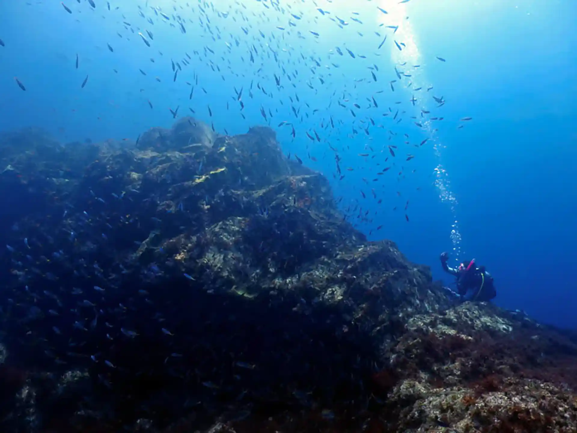 Dive shop photo