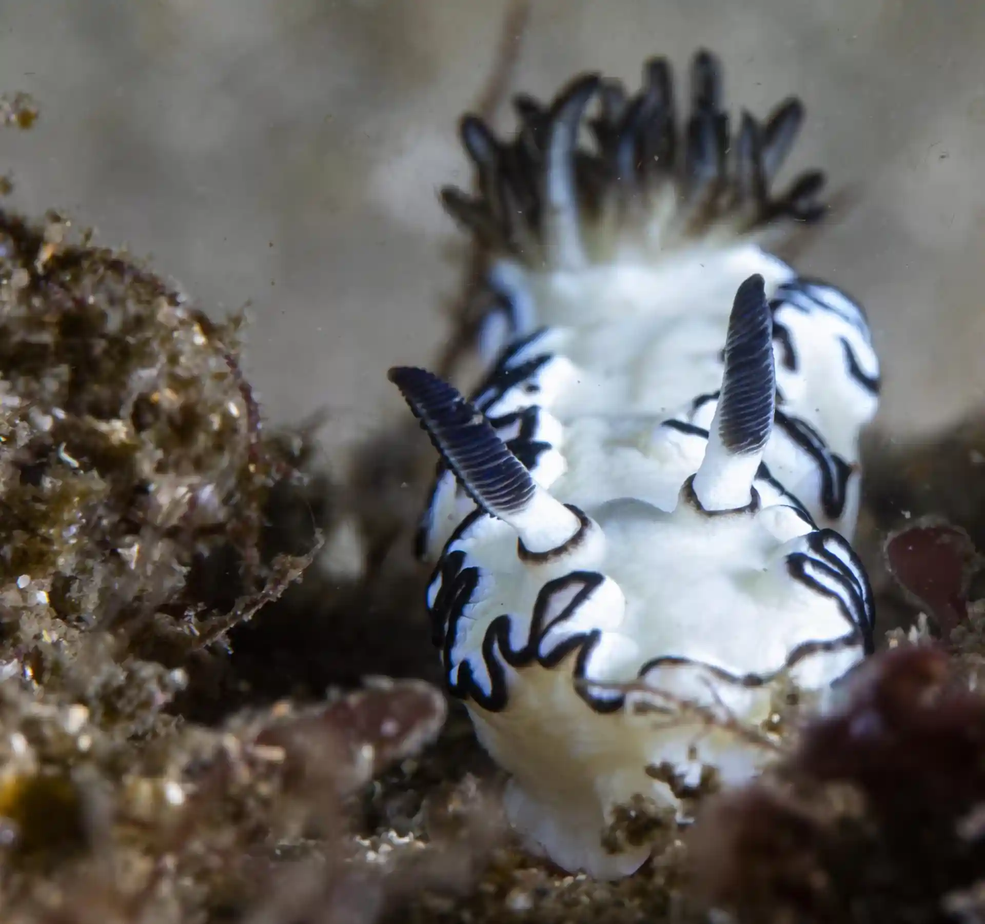 Dive site photo