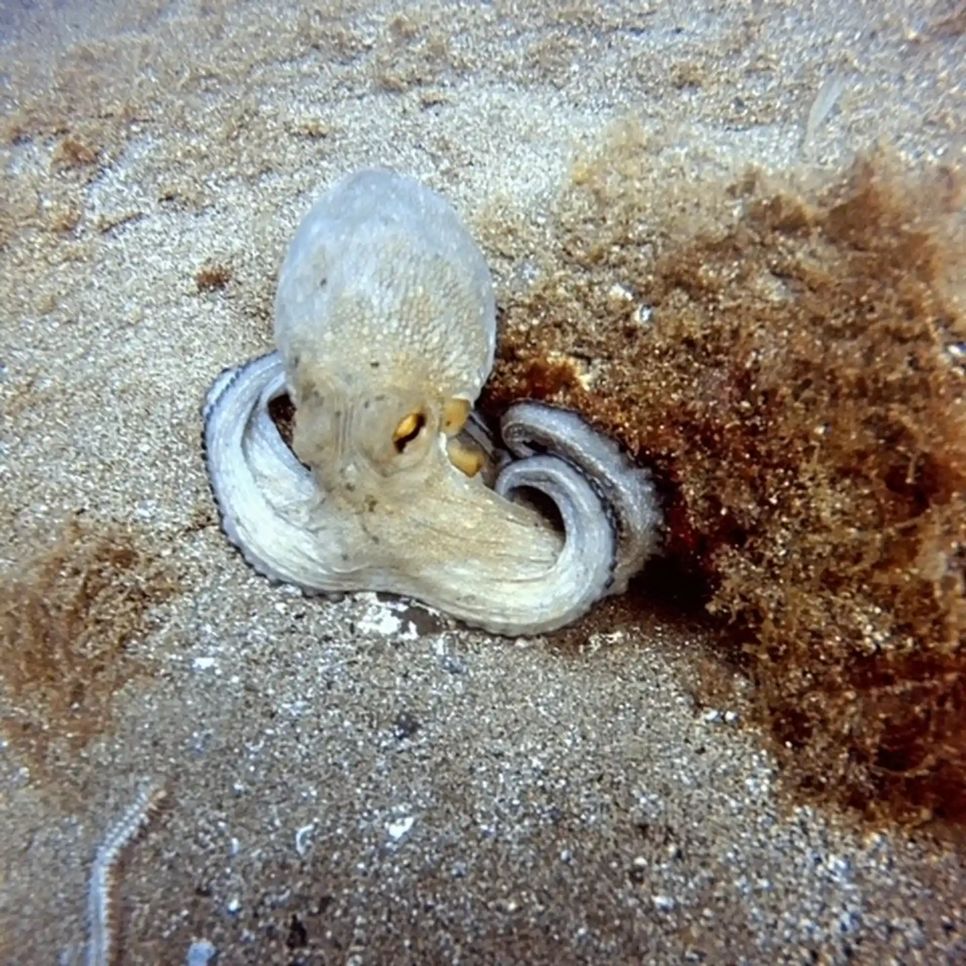 Dive shop photo