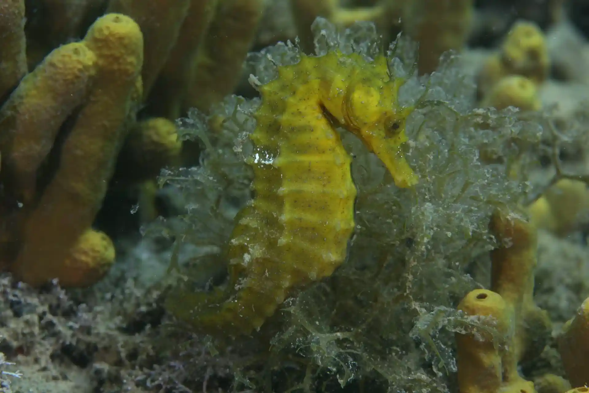 Foto van de duiklocatie