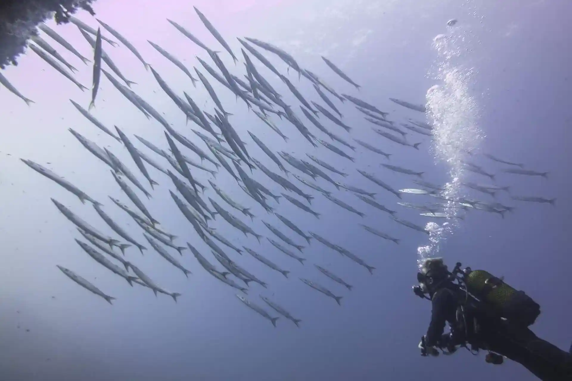 Foto de la actividad