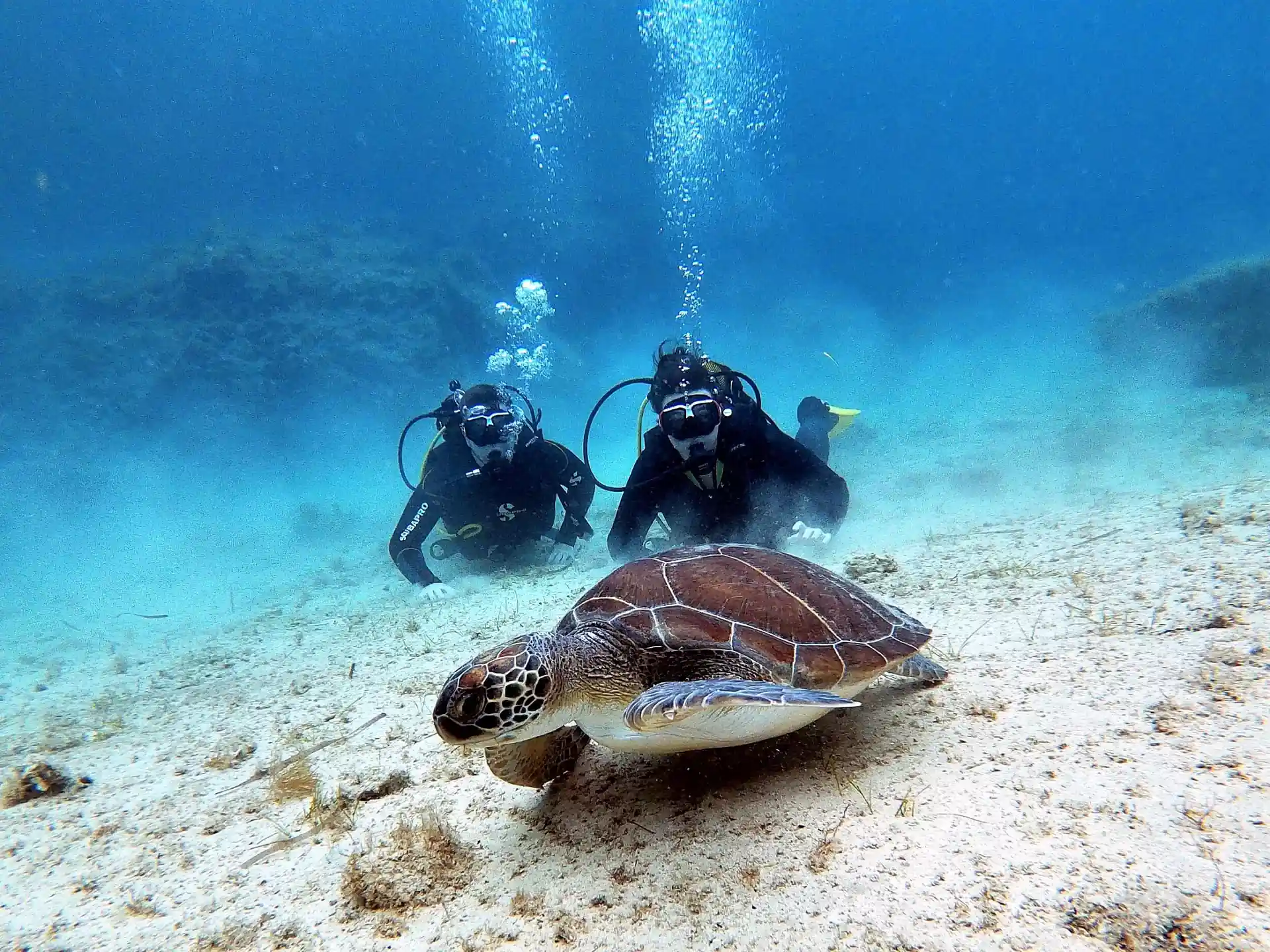 Dive shop photo