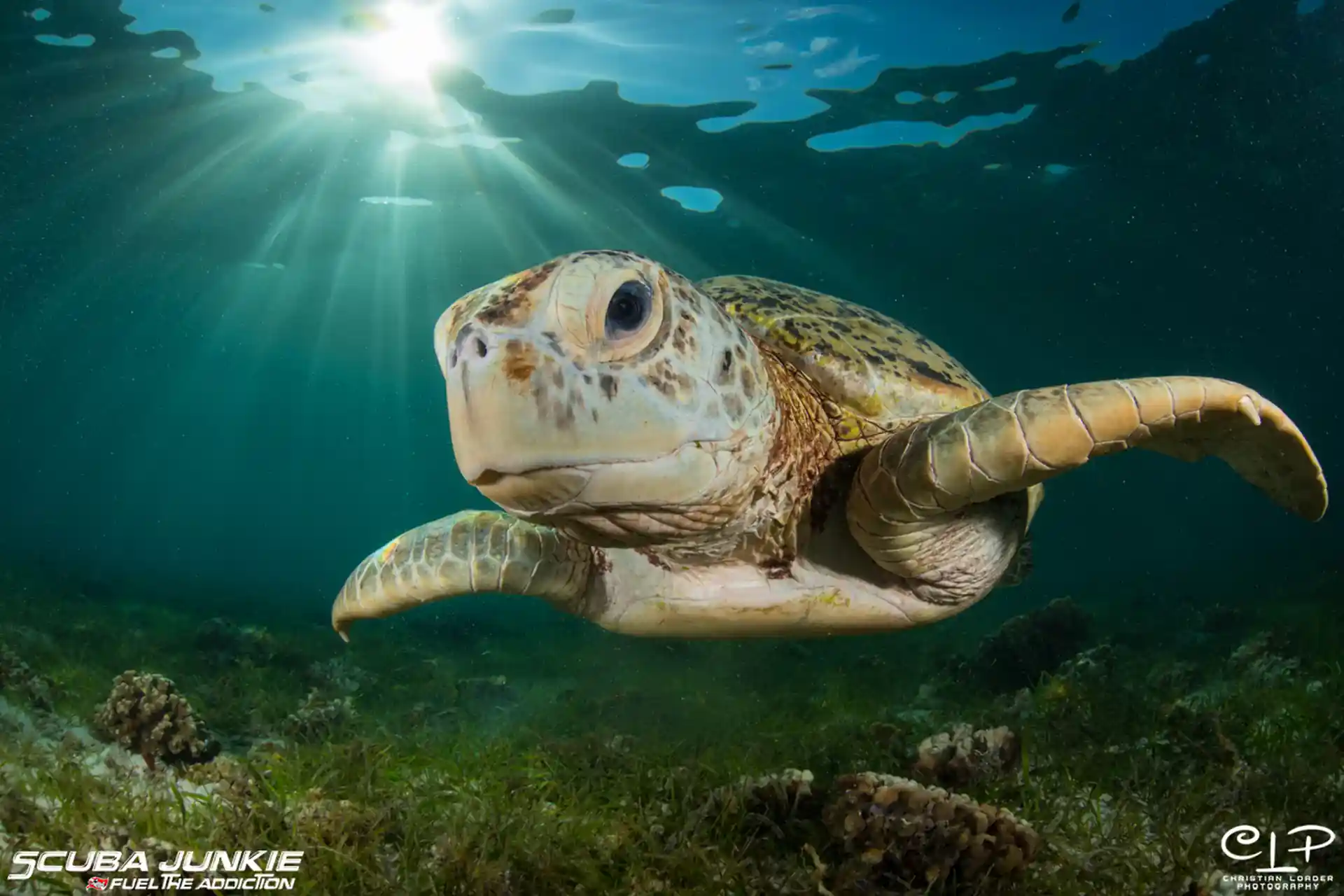 Dive shop photo