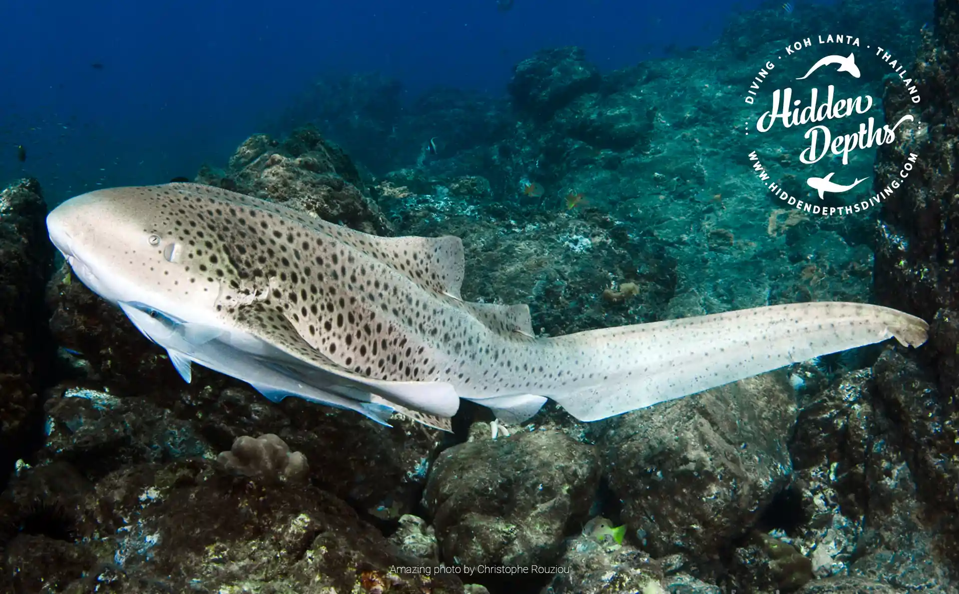 다이빙 포인트 사진