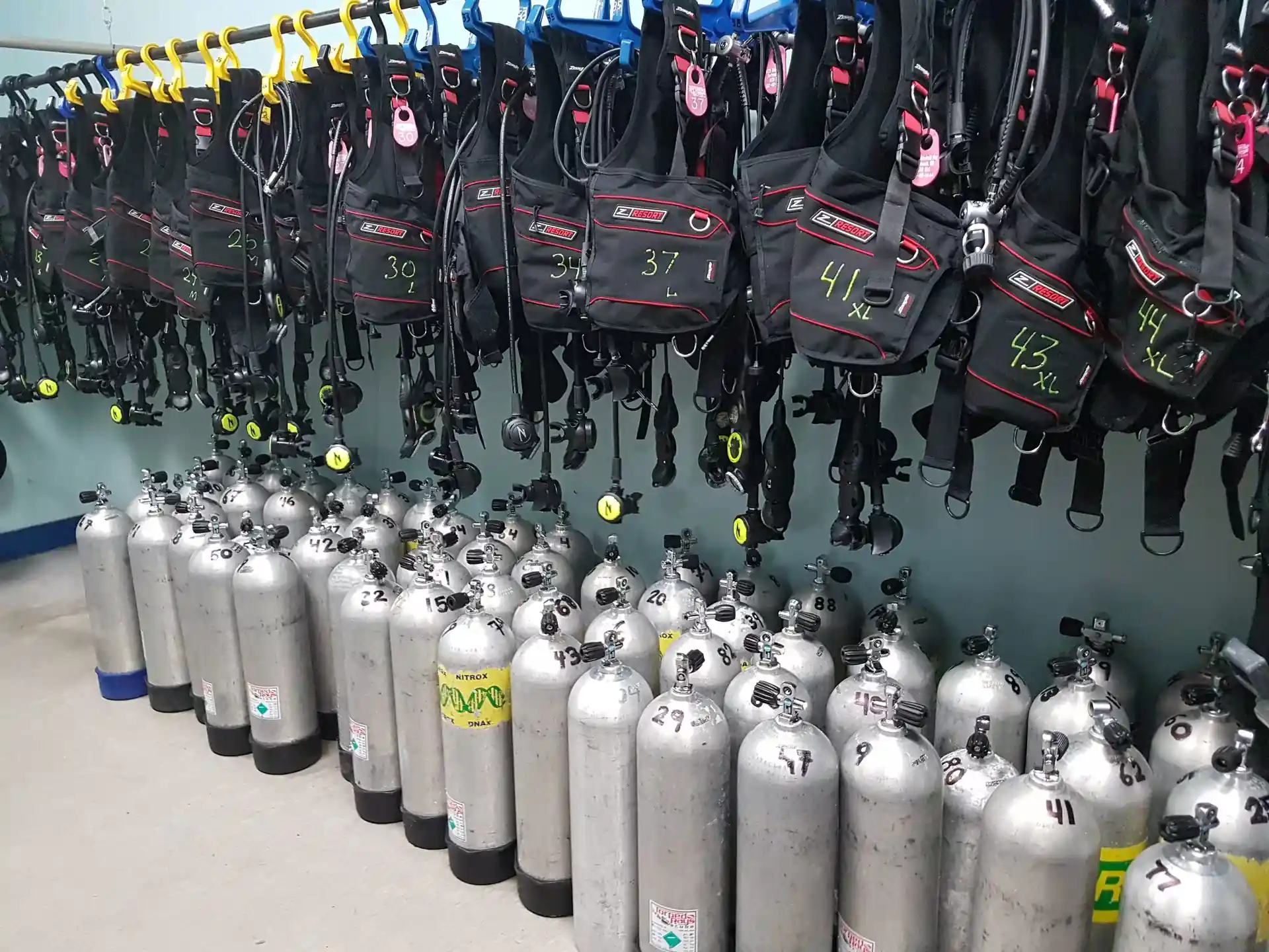 Foto de la tienda de buceo
