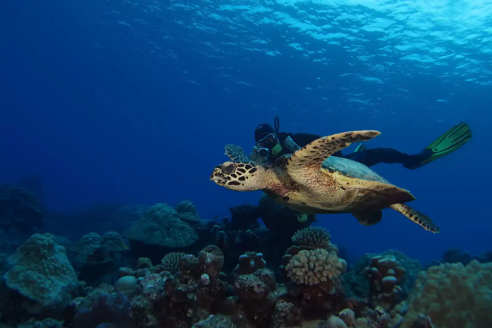 Dive shop photo