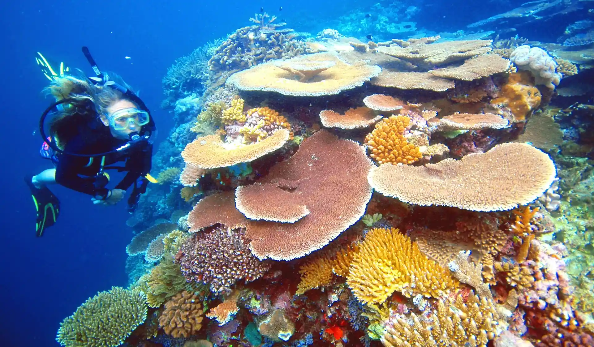 Dive shop photo