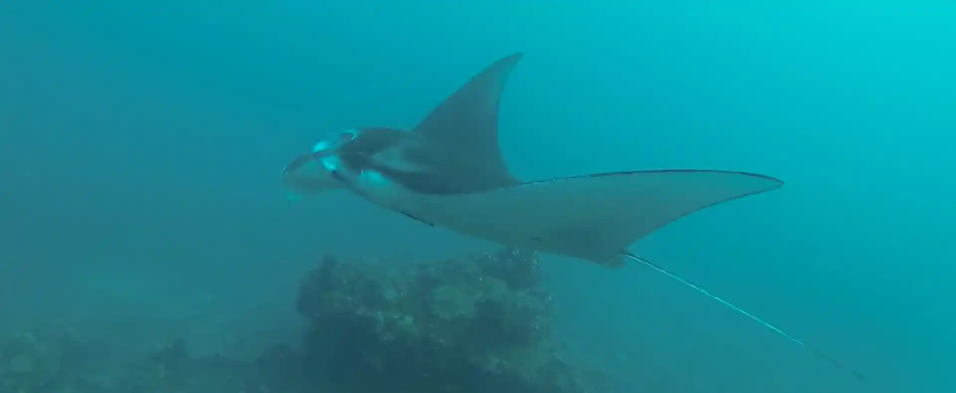 Dive site photo