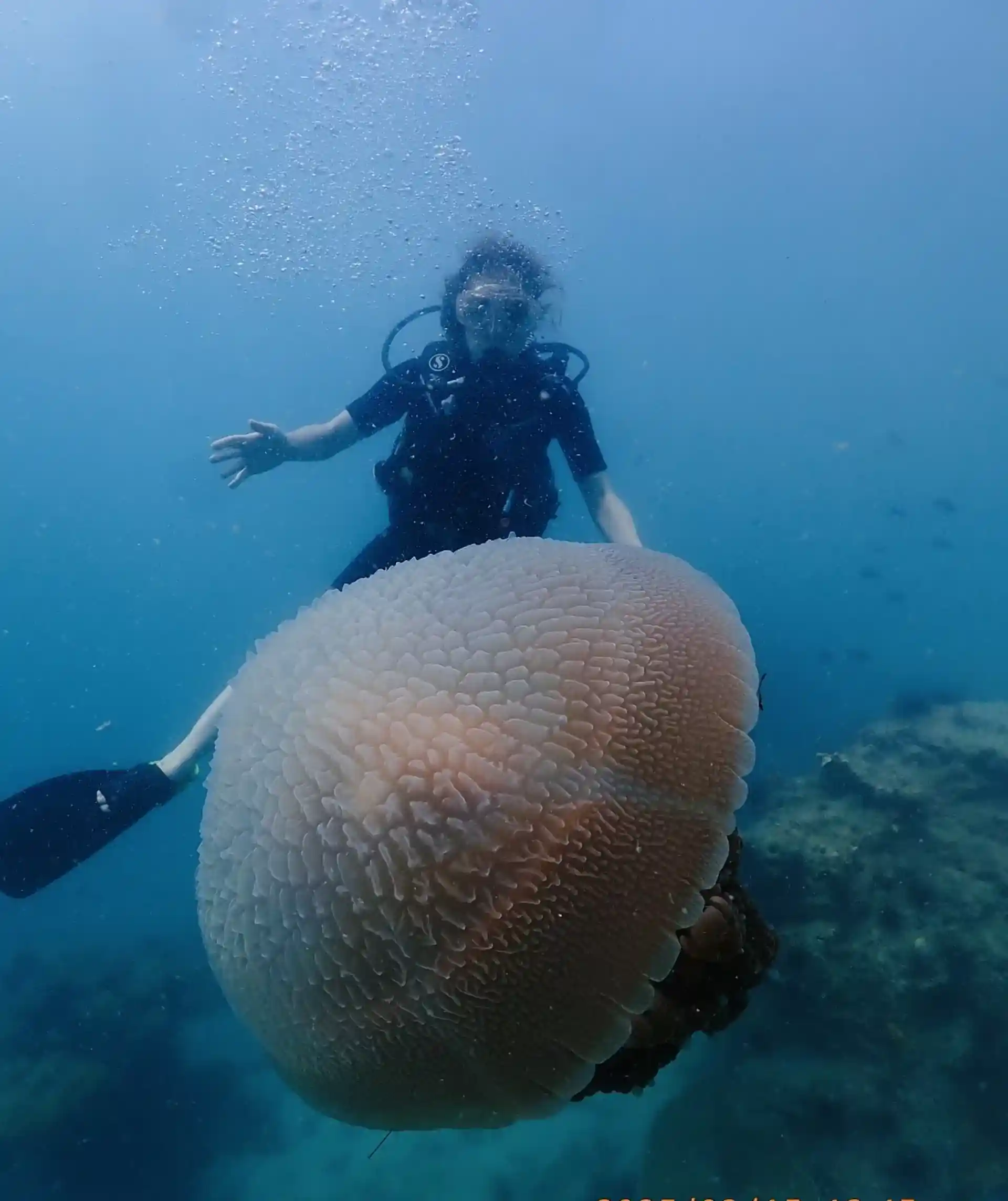 다이빙 샵 사진