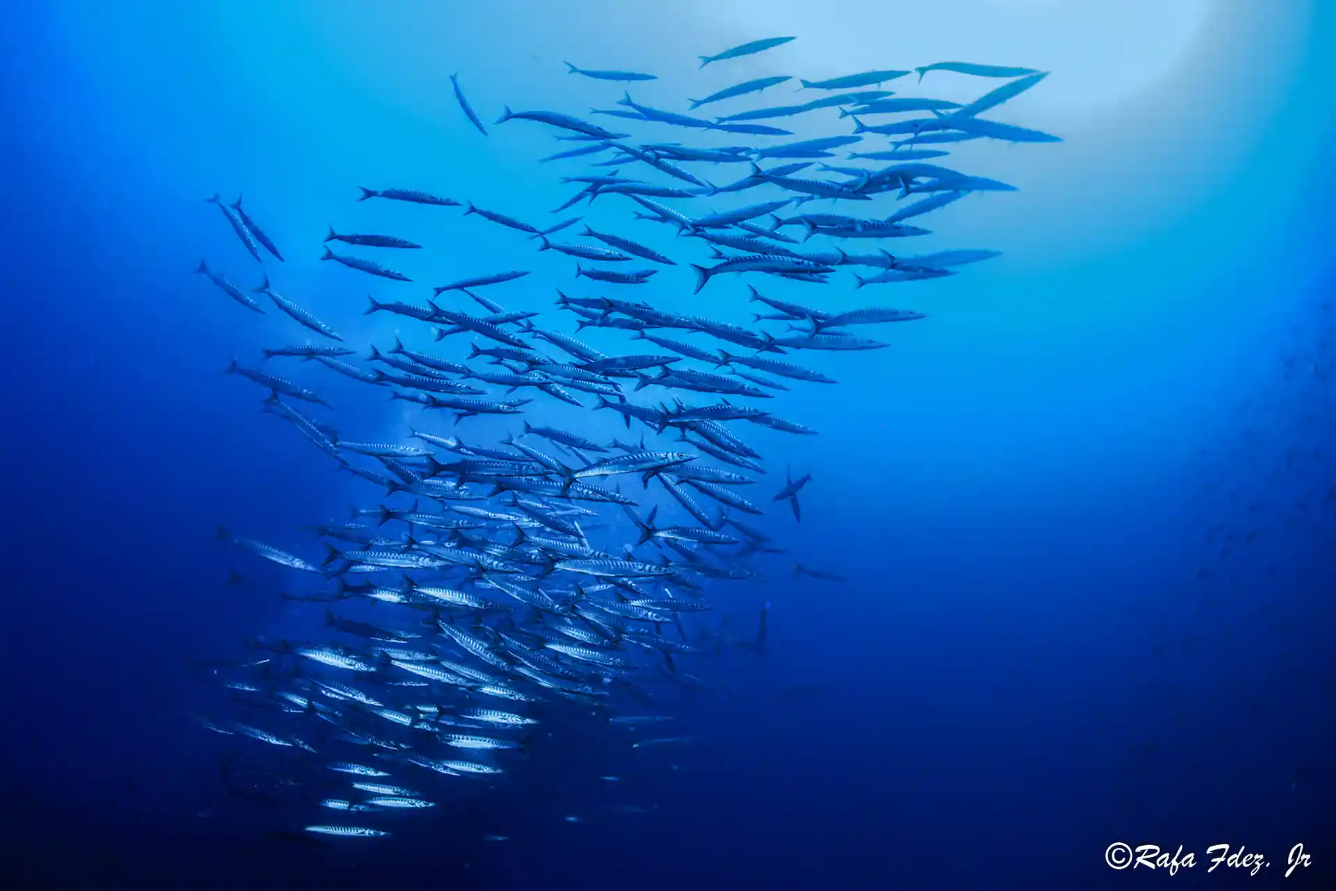 Dive site photo
