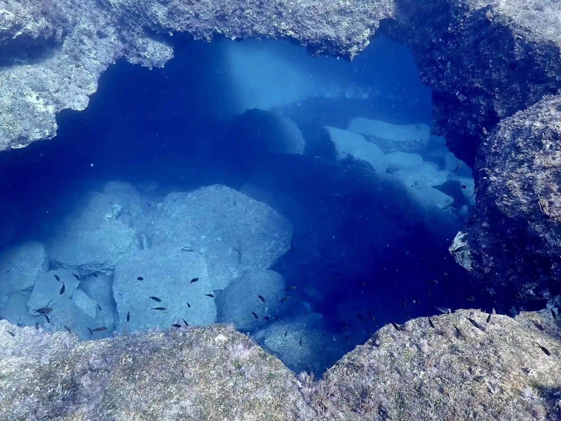 Dive site photo