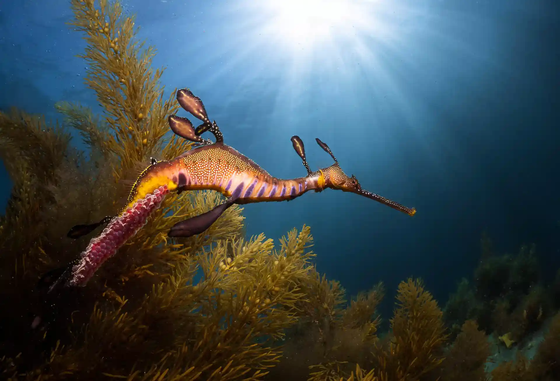 Foto des Tauchplatzes