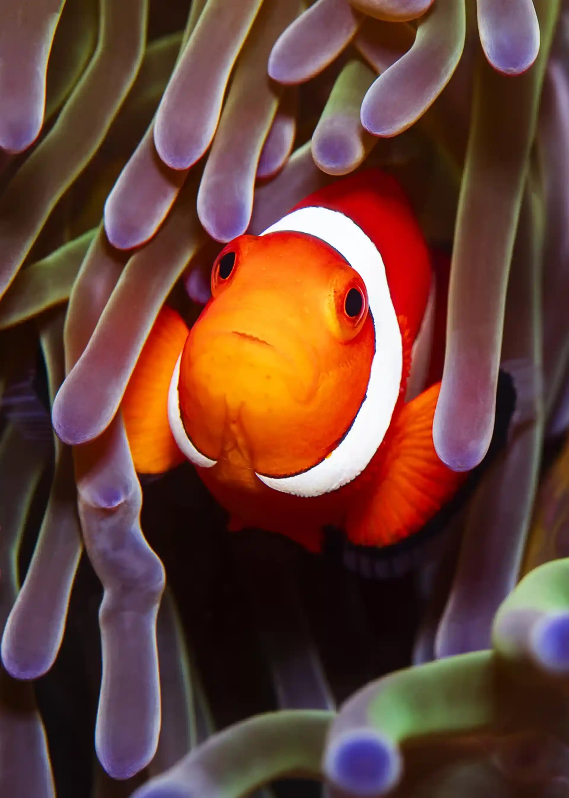 Dive site photo
