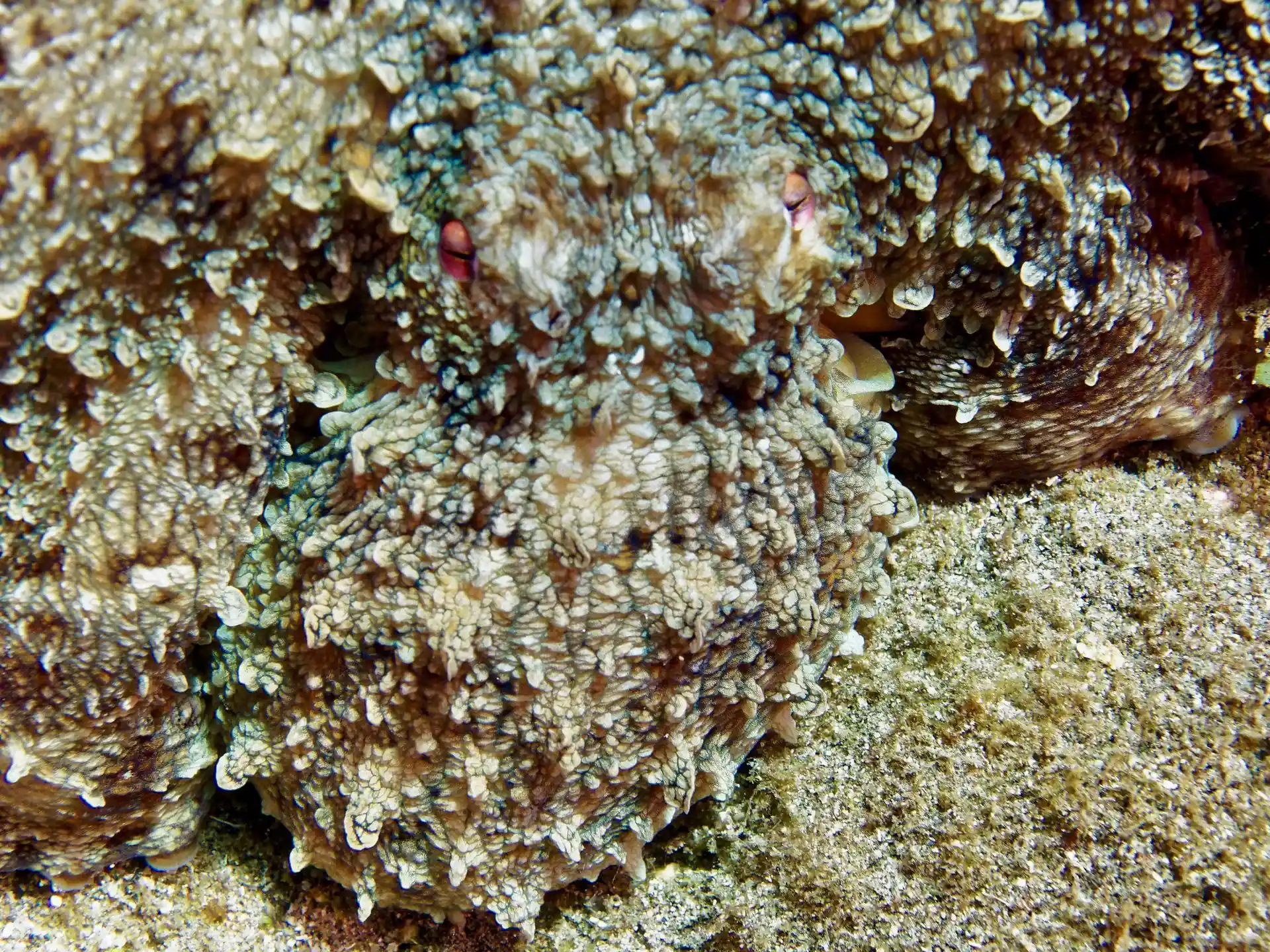 다이빙 포인트 사진