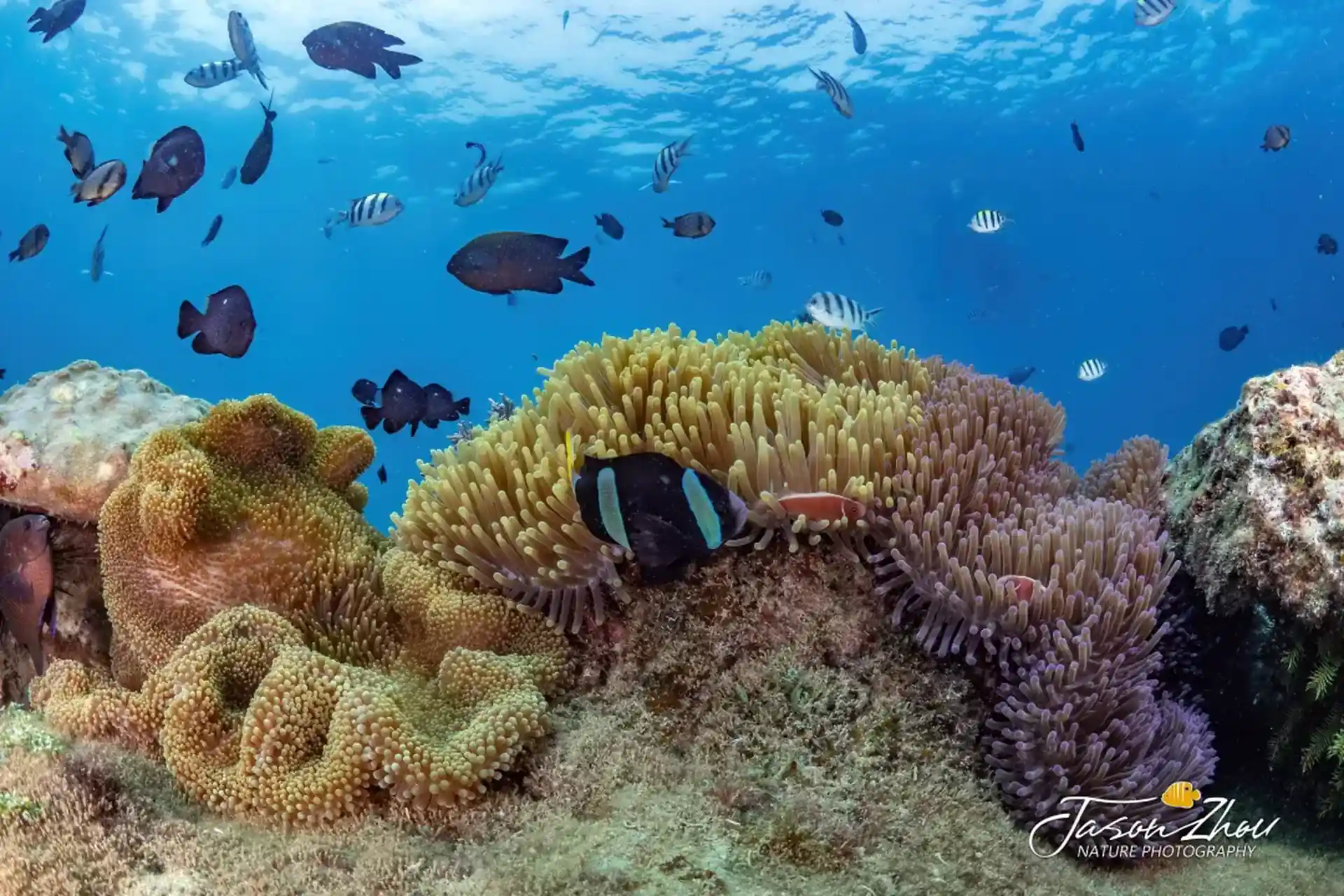 Dive site photo