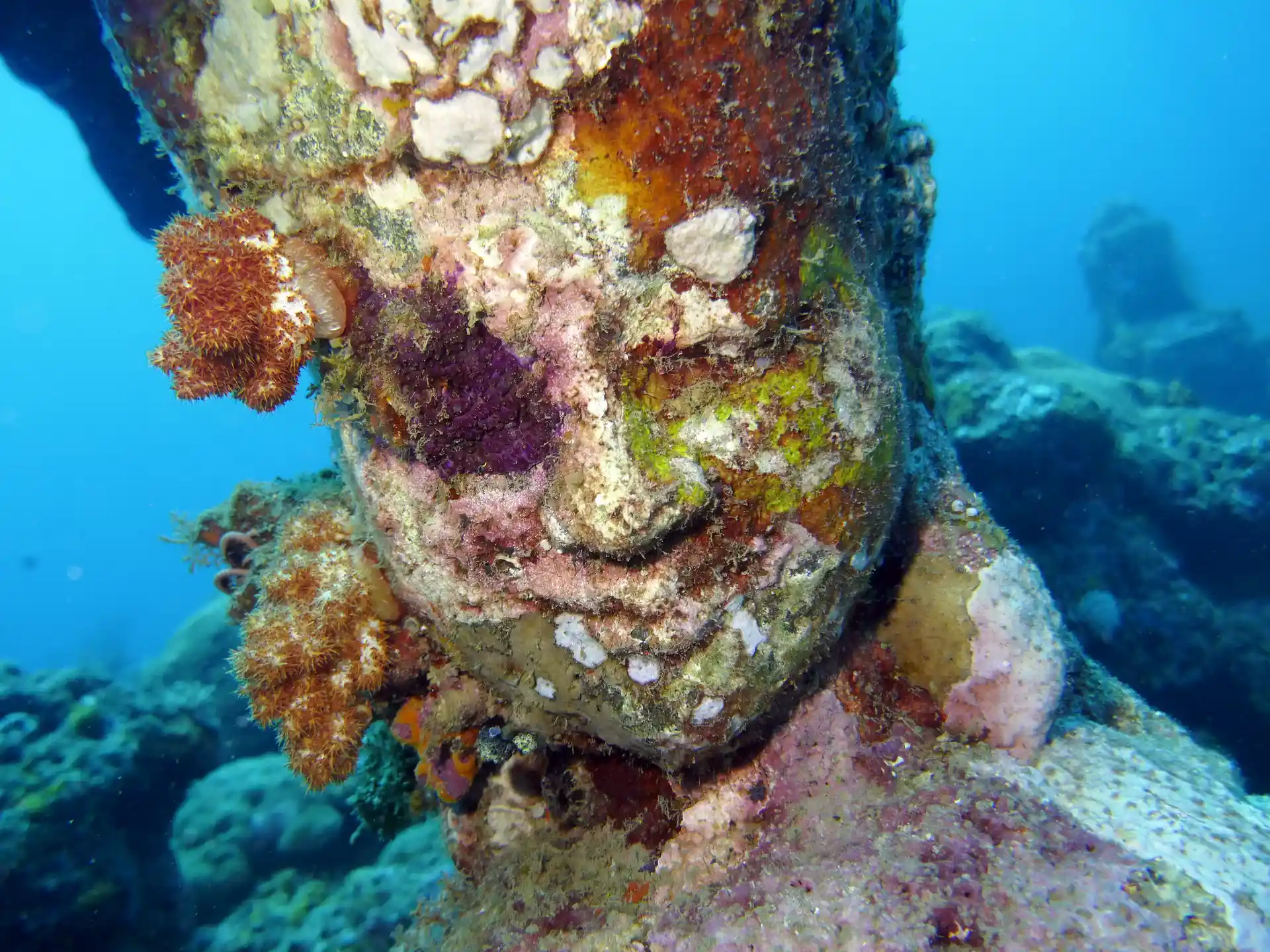 A Hindu Statue with some coral growing on it