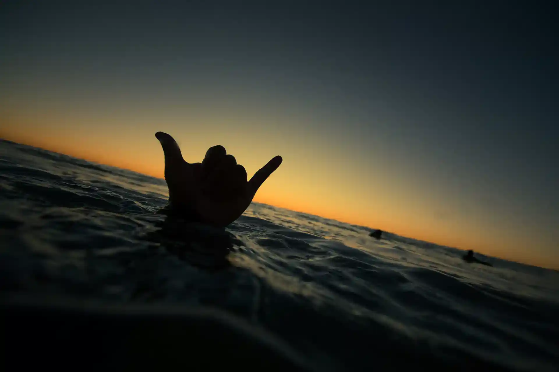 Foto de la actividad