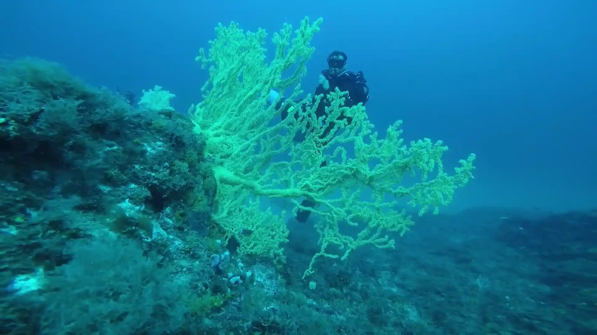 Dive site photo
