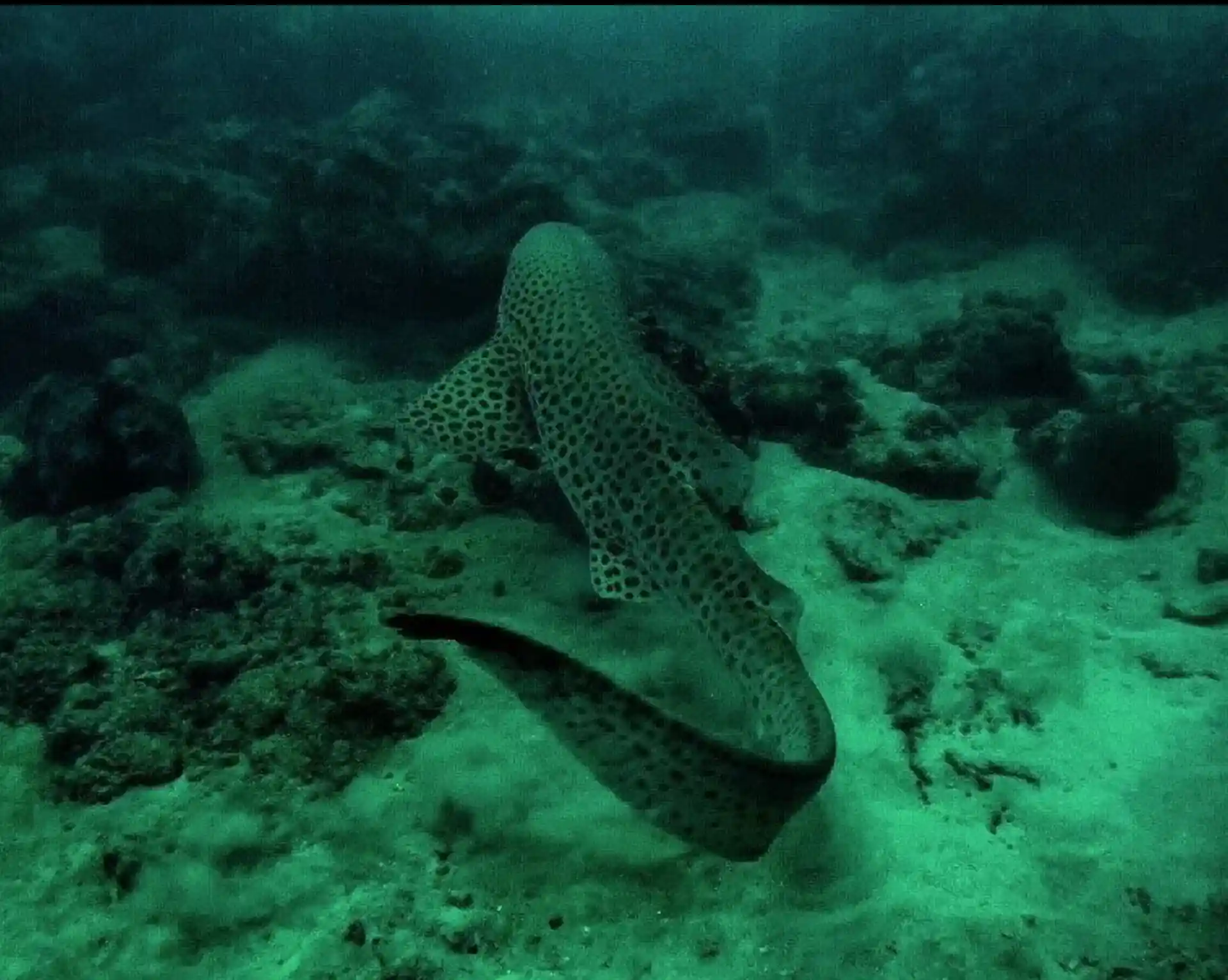 Dive site photo