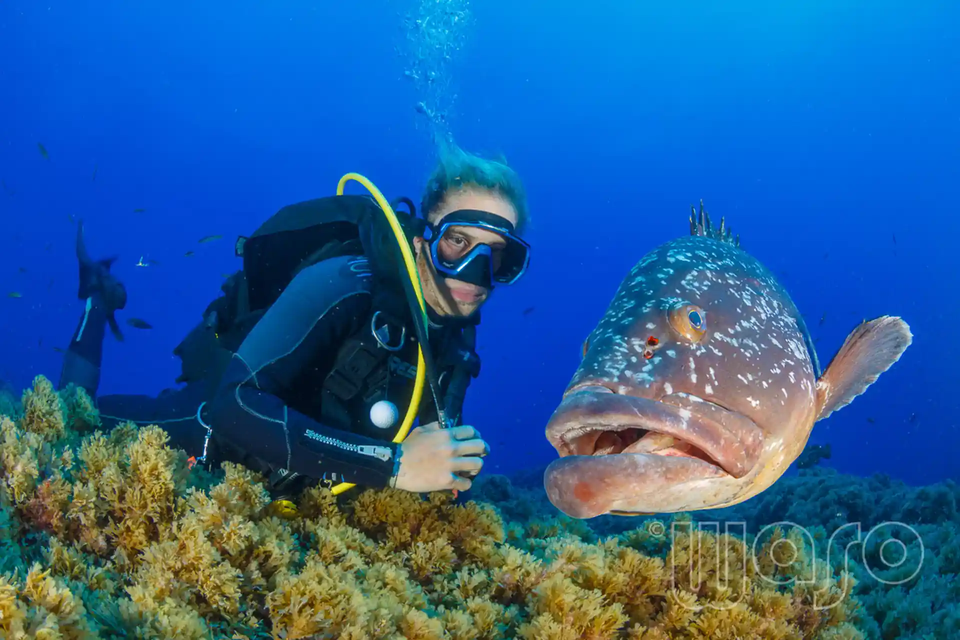 Foto de la actividad