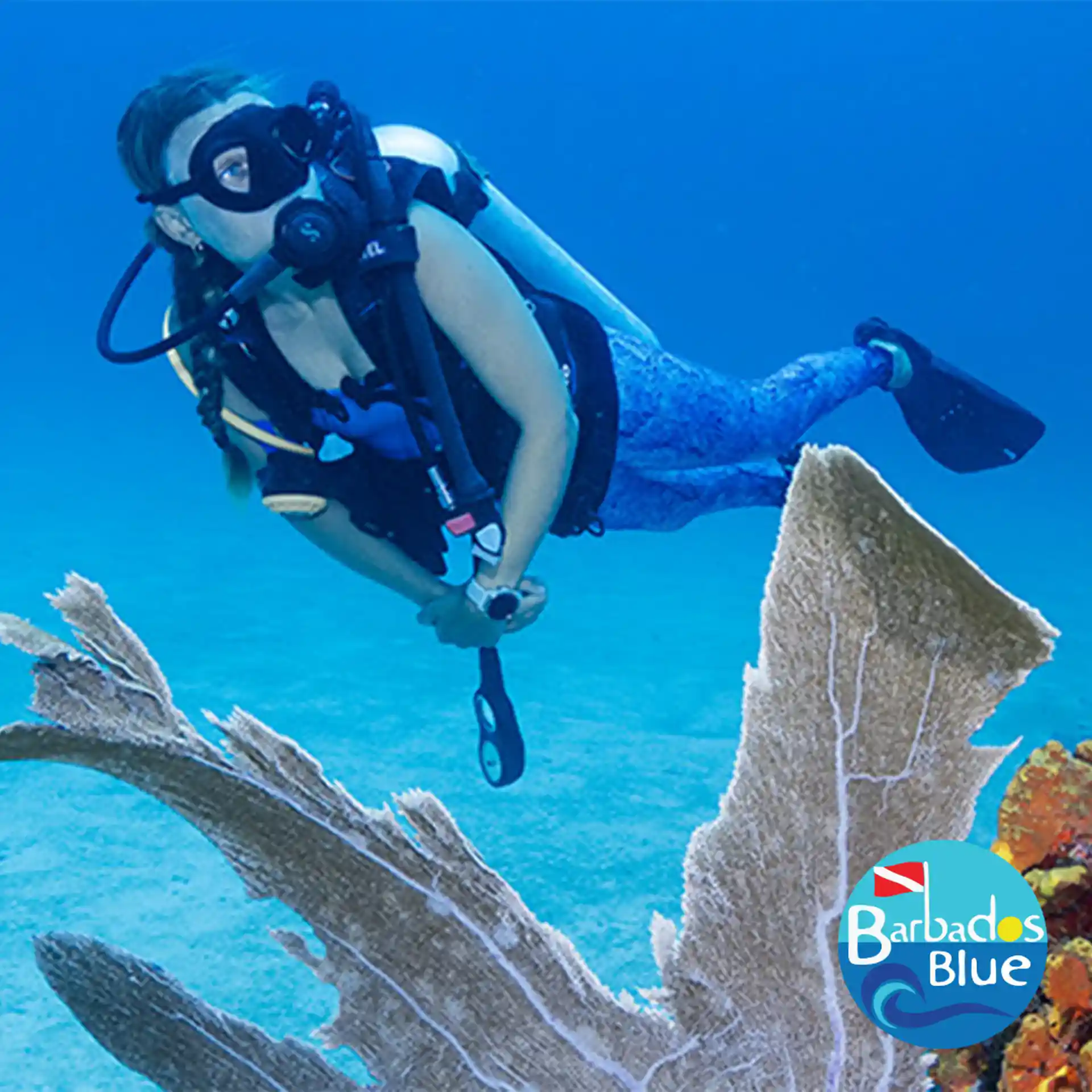 Foto de la actividad