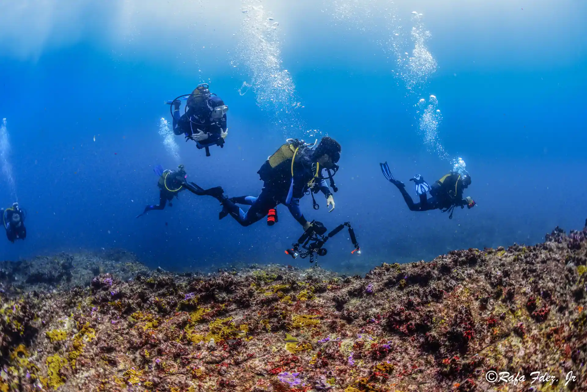 Dive site photo