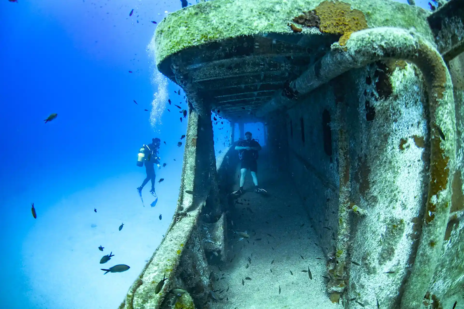 Wreck diving a must when visiting Malta for some diving