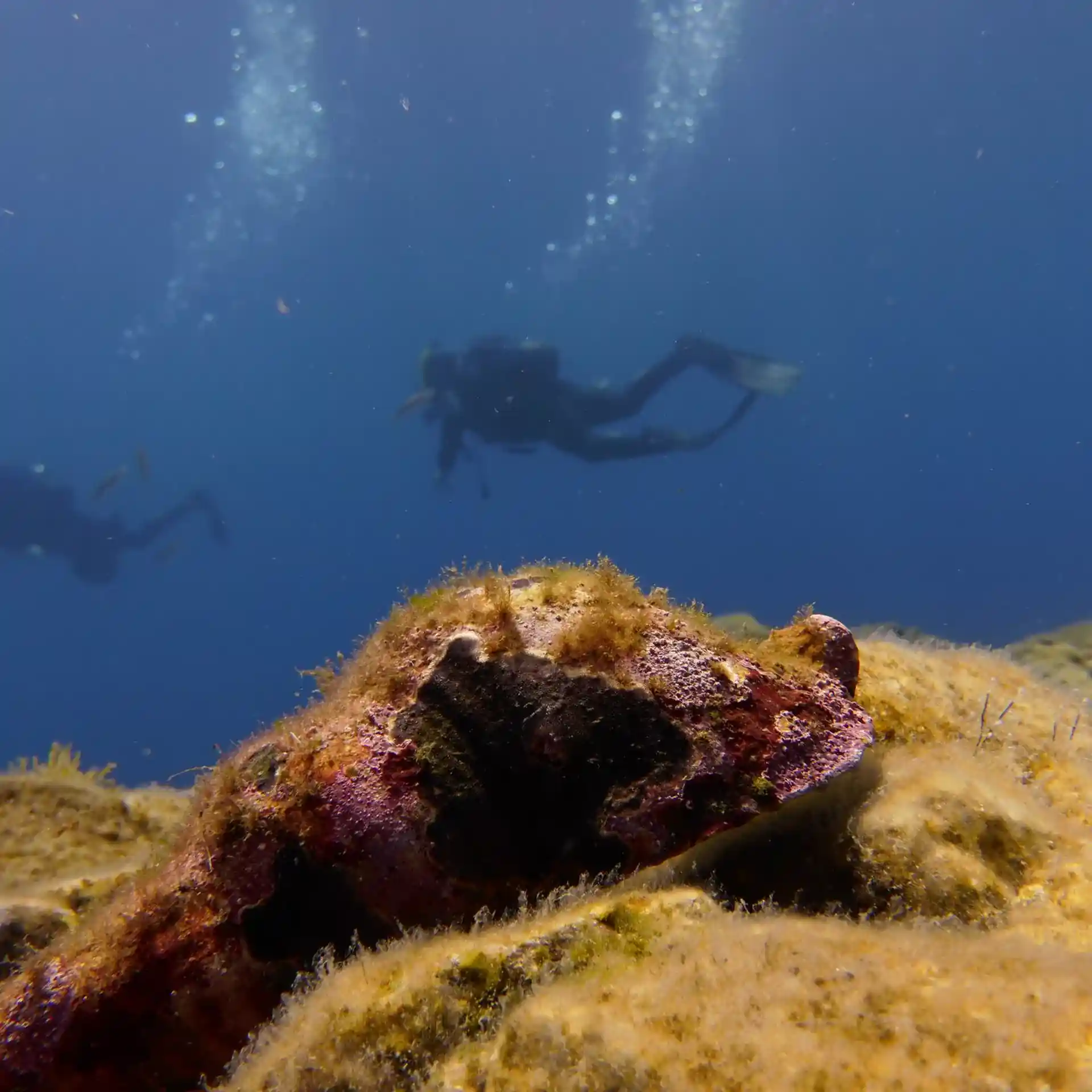 다이빙 포인트 사진