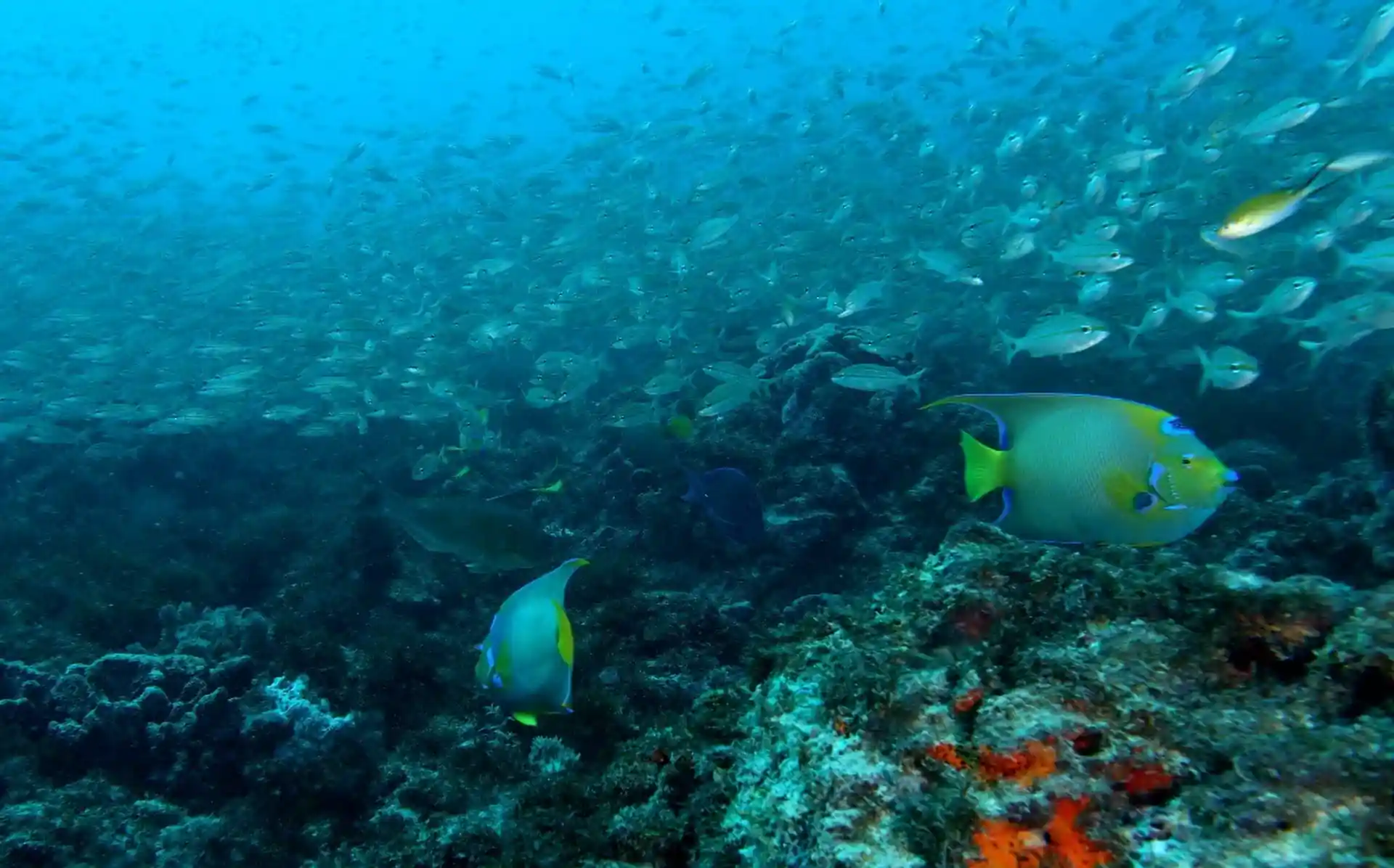 Dive site photo