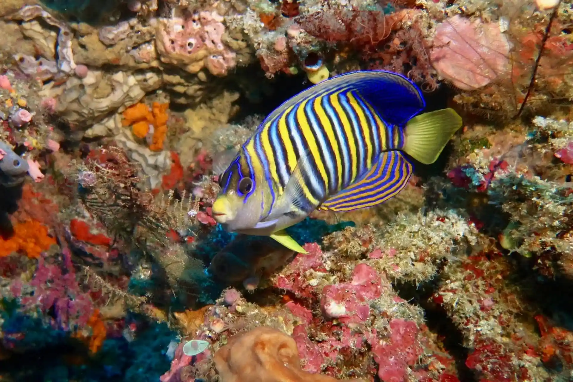 Dive site photo