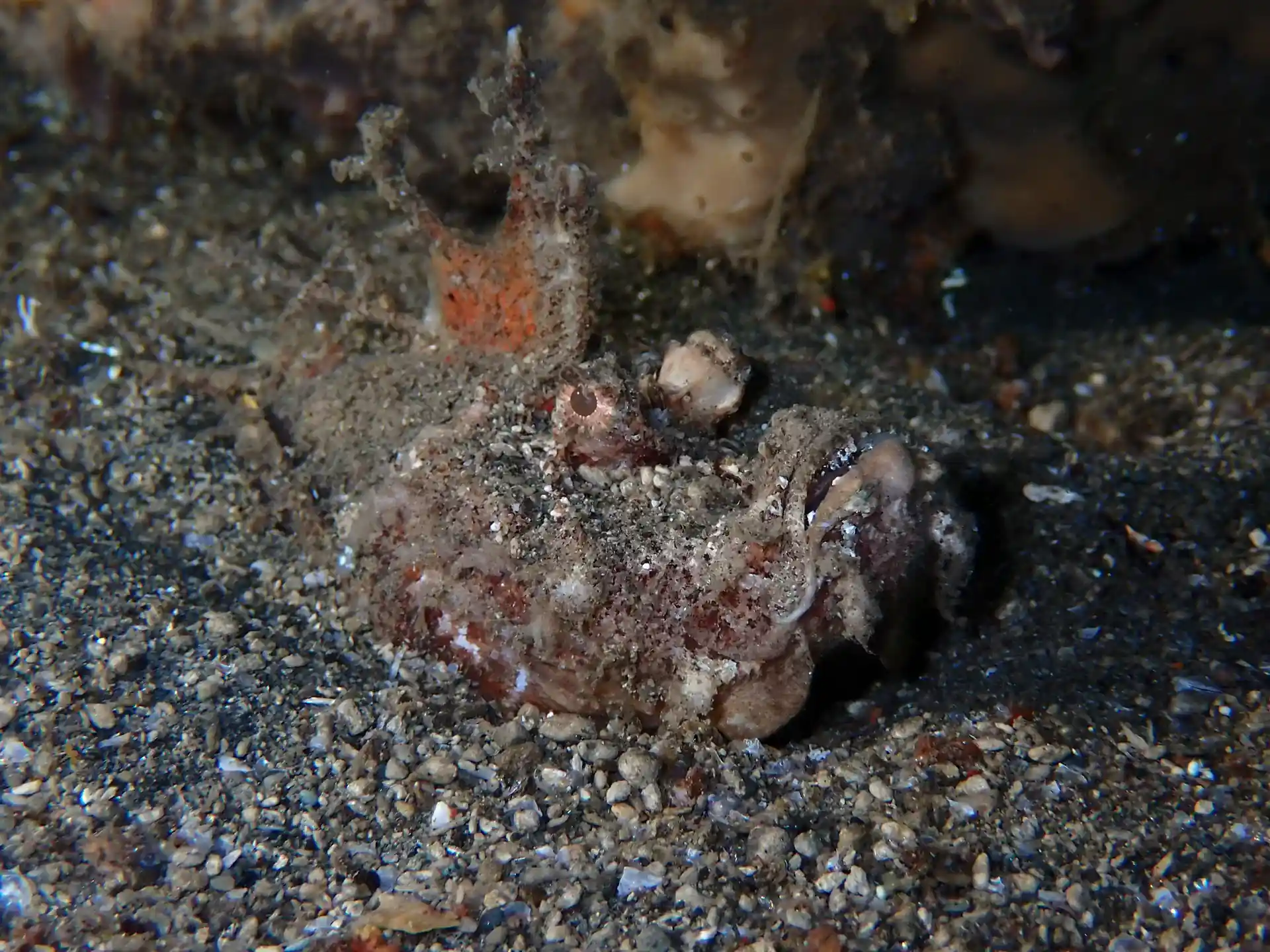 Dive shop photo