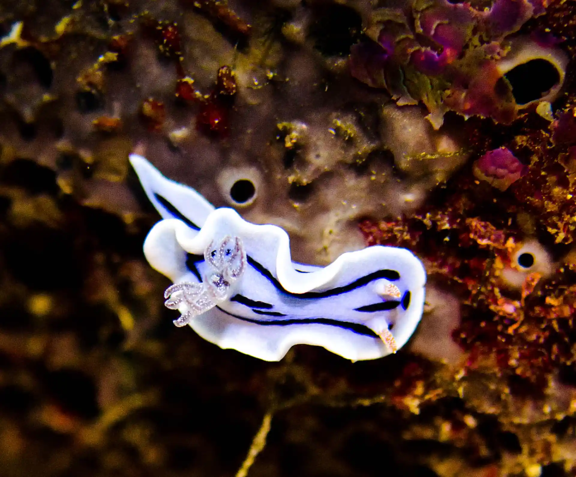 Dive shop photo