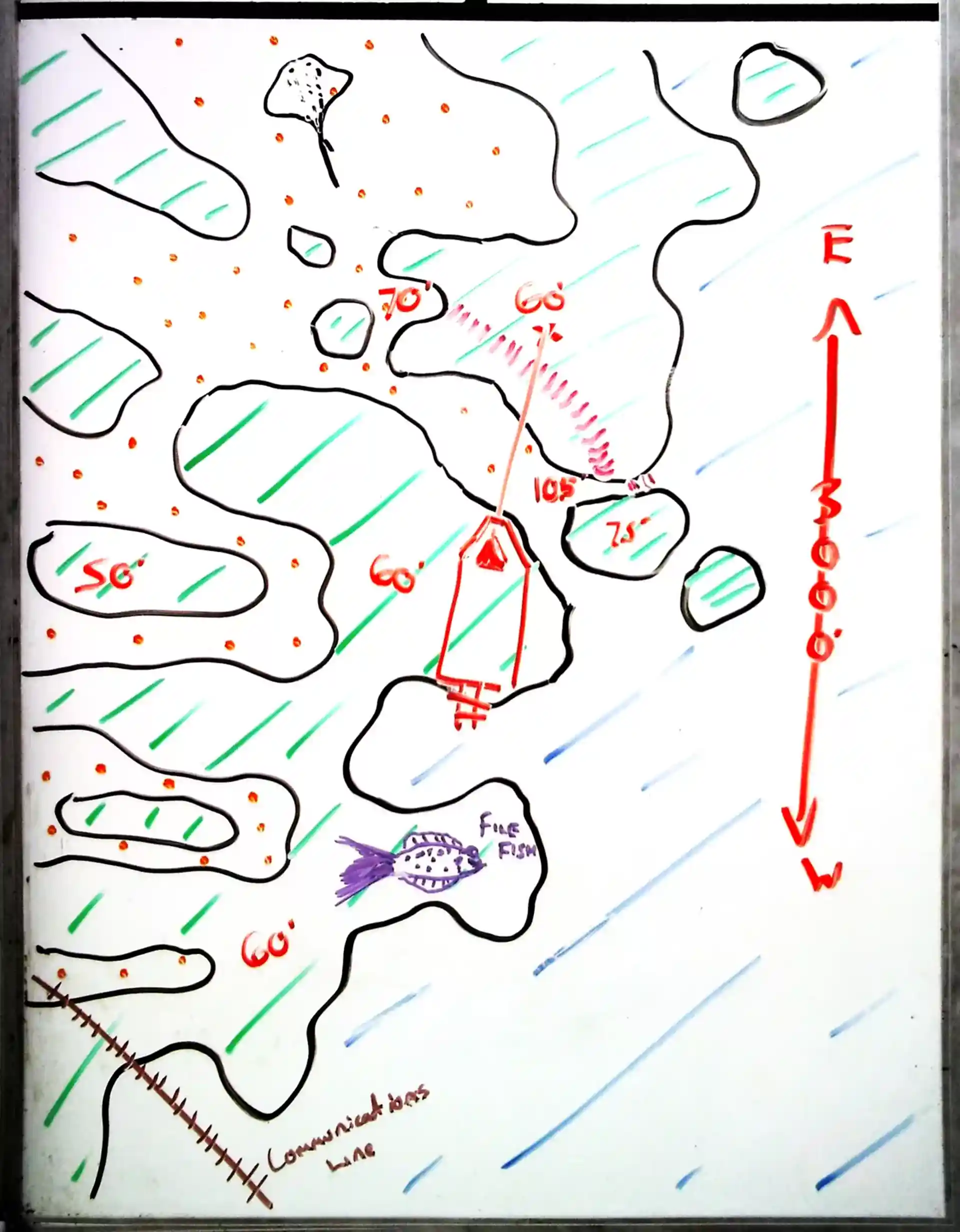 Dive site photo