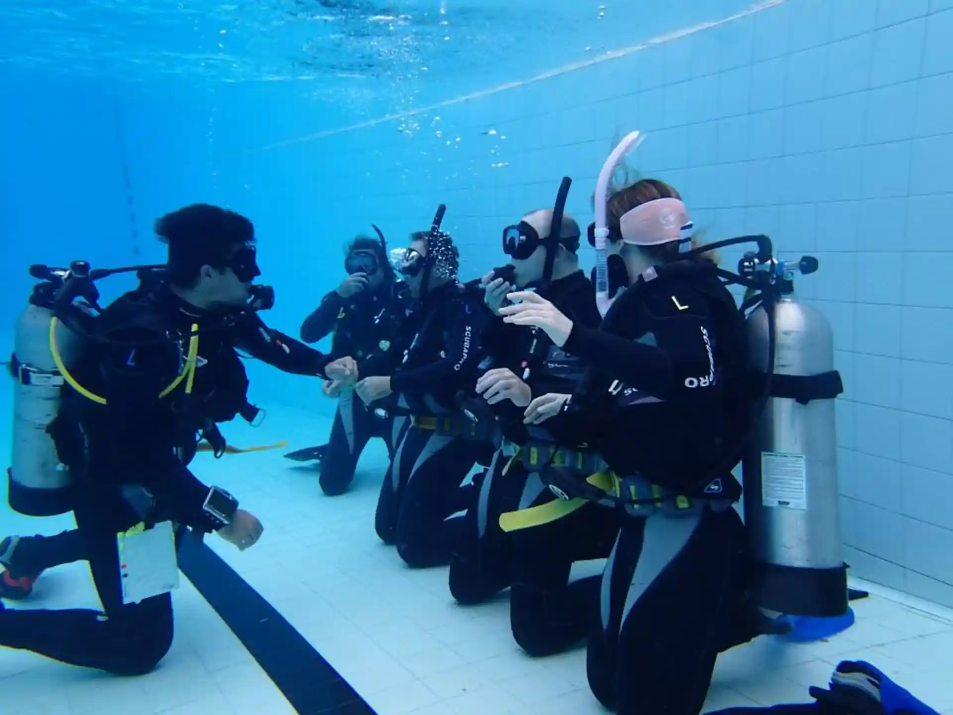 Foto de la actividad