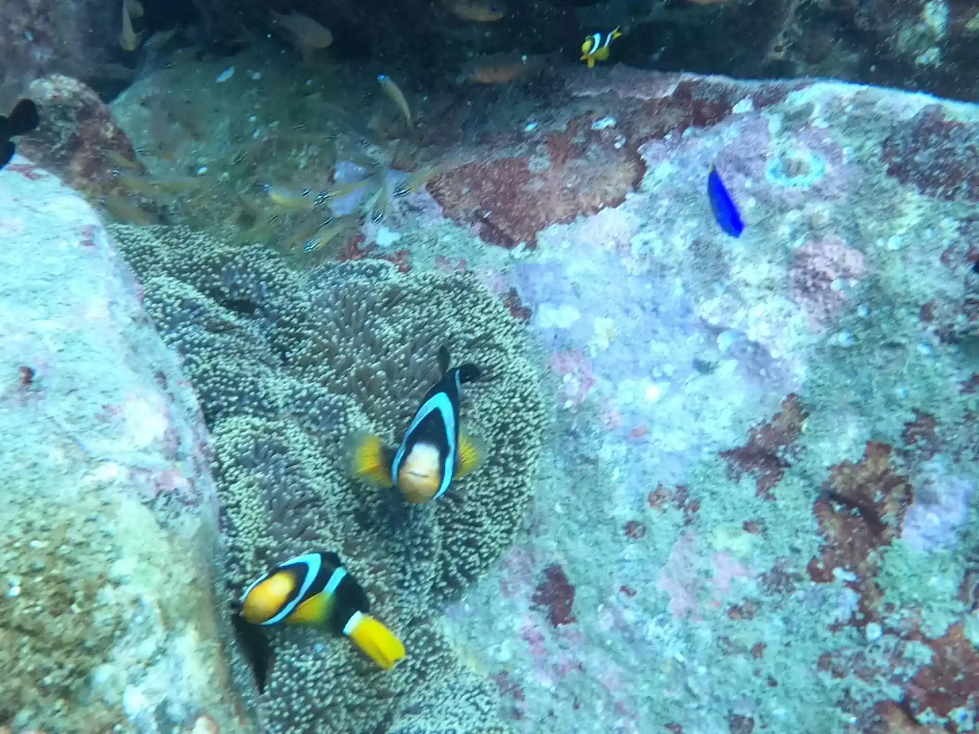 Dive site photo