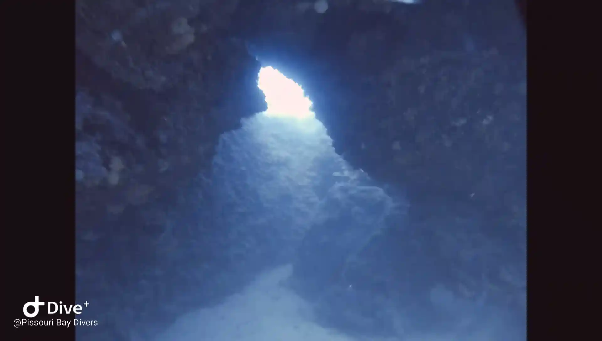 다이빙 포인트 사진