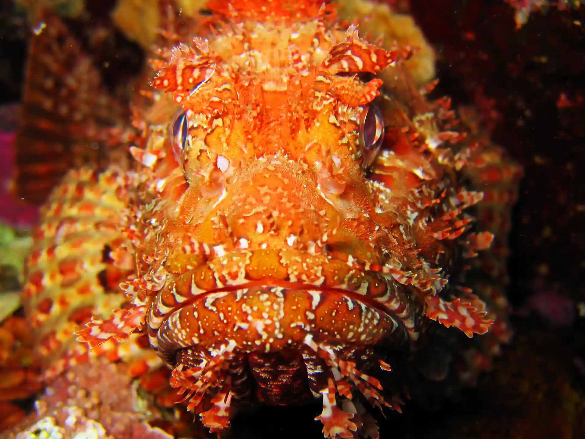 Foto des Tauchplatzes