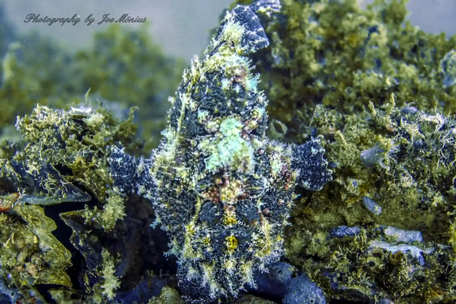 Dive site photo