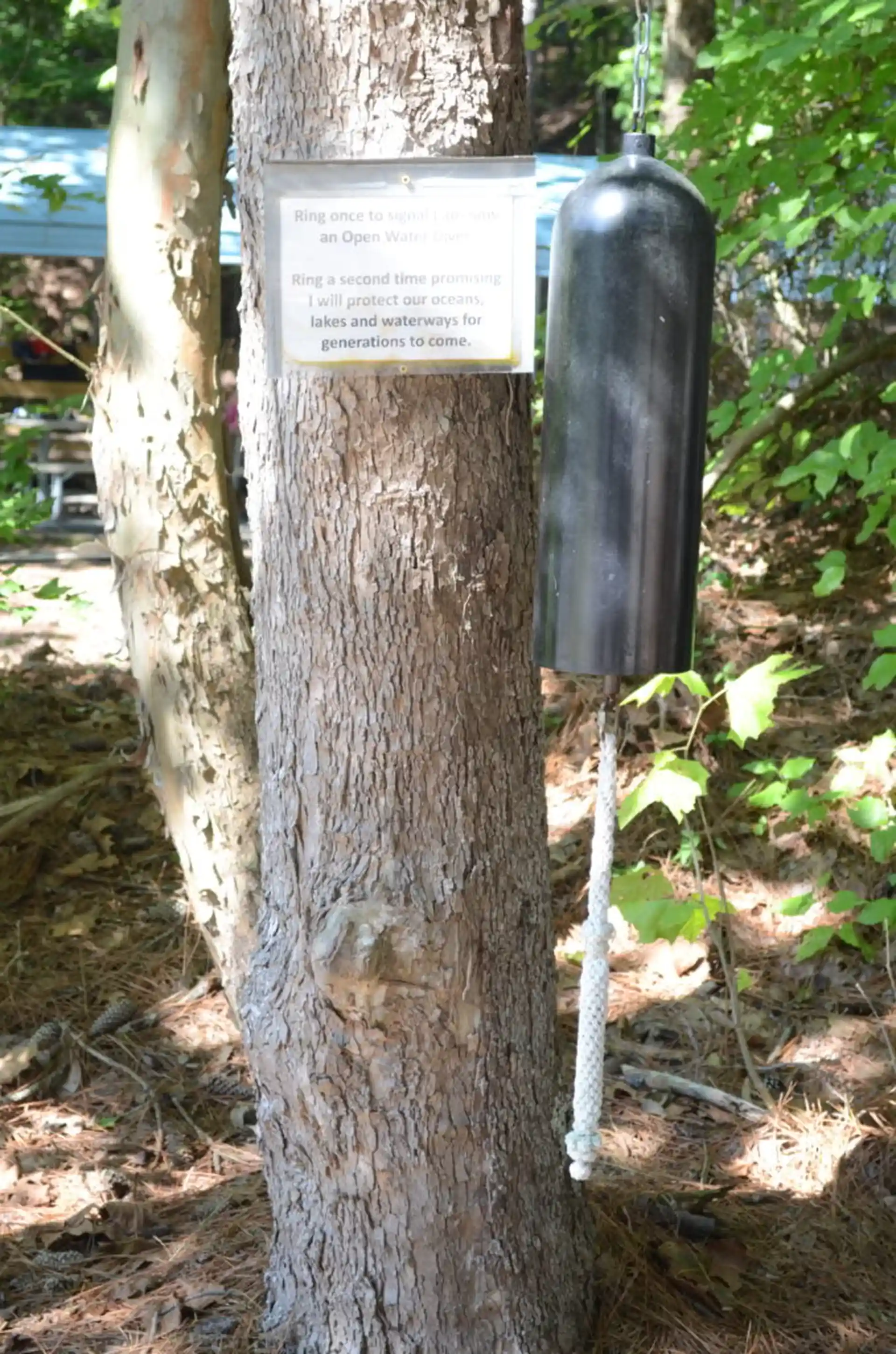 Photo du site de plongée