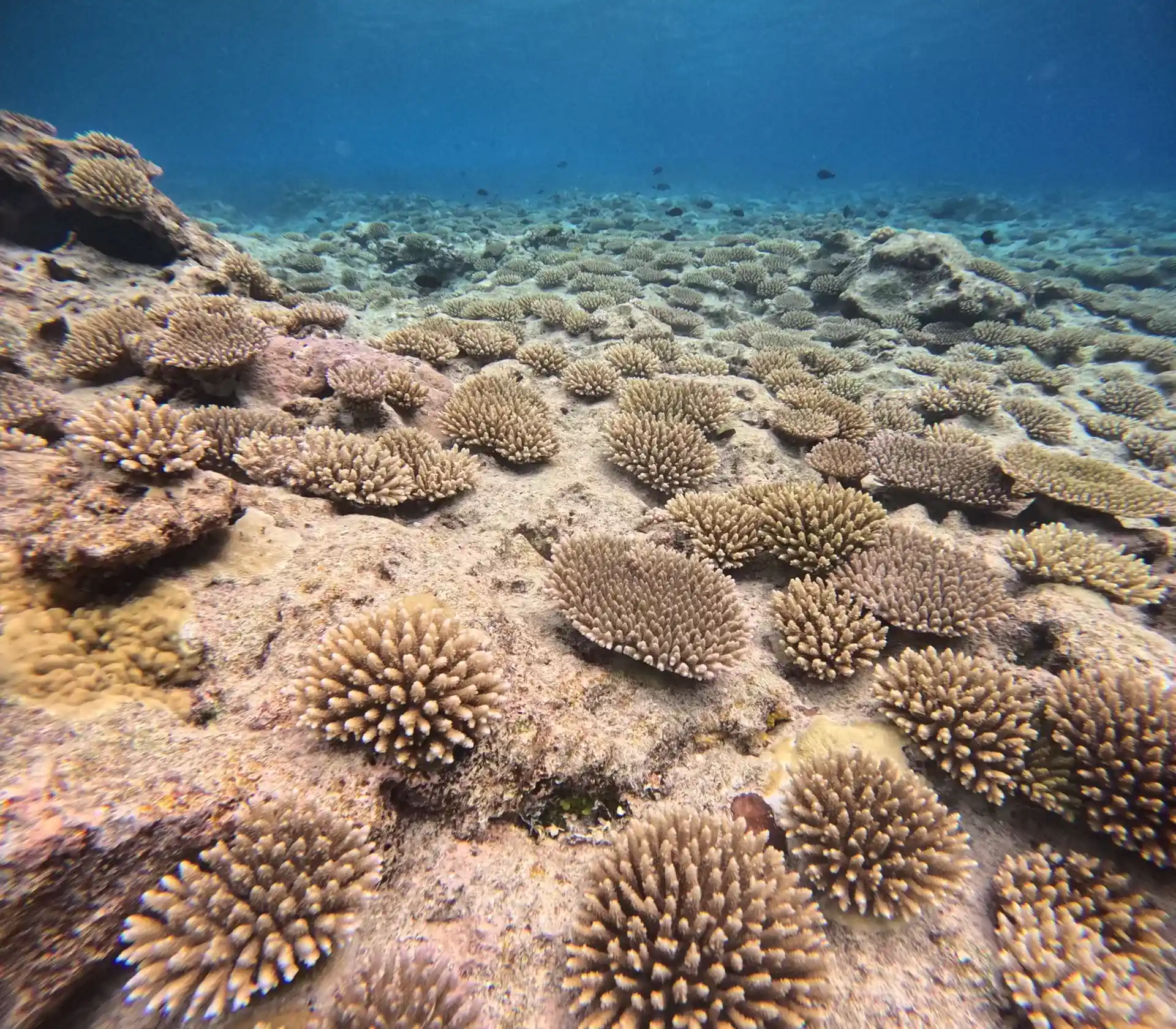 Foto des Tauchplatzes