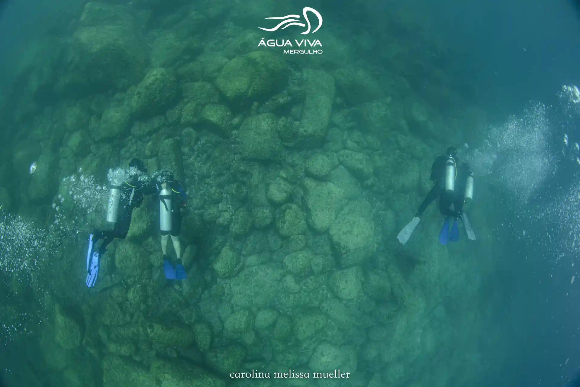 Dive shop photo