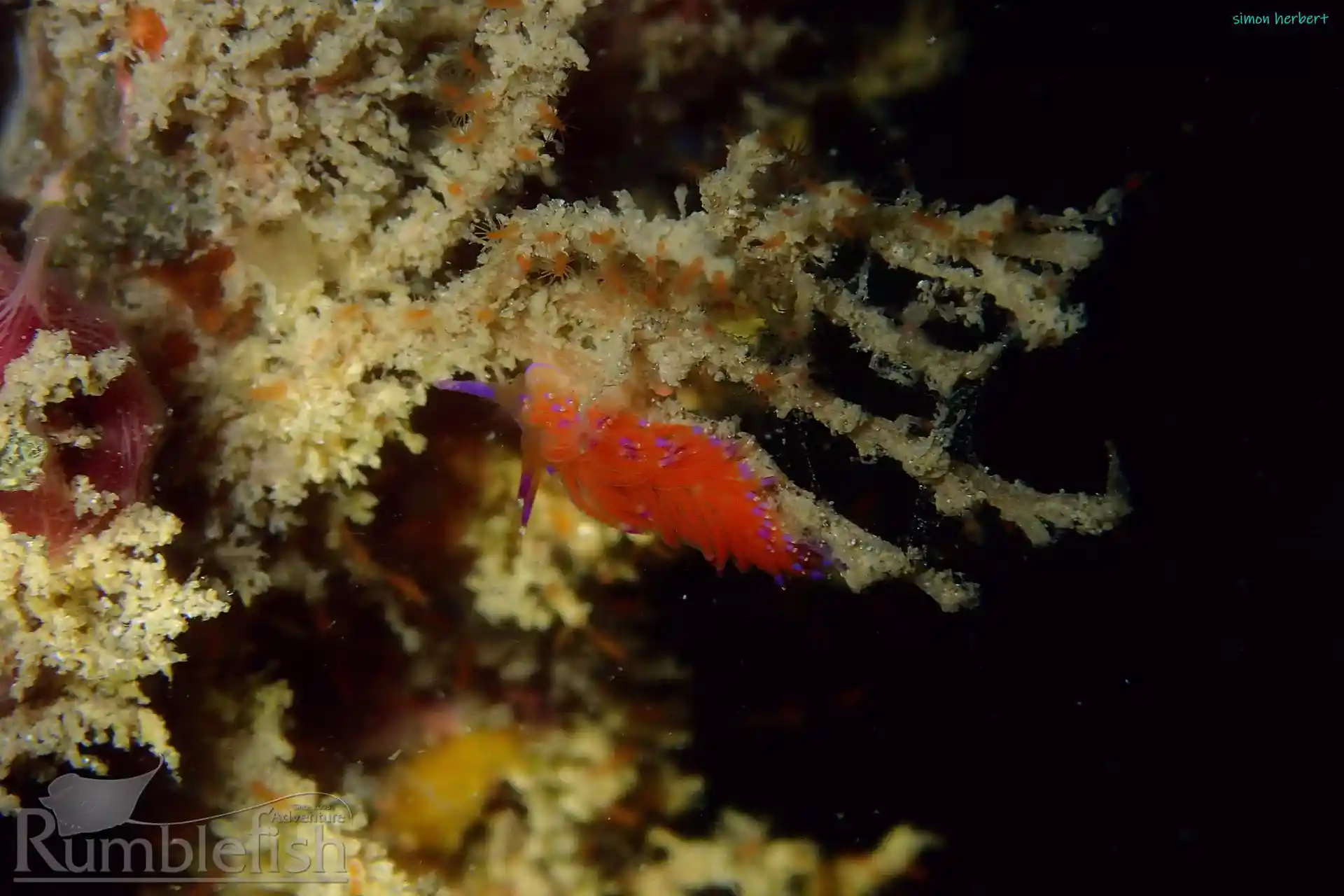 다이빙 포인트 사진