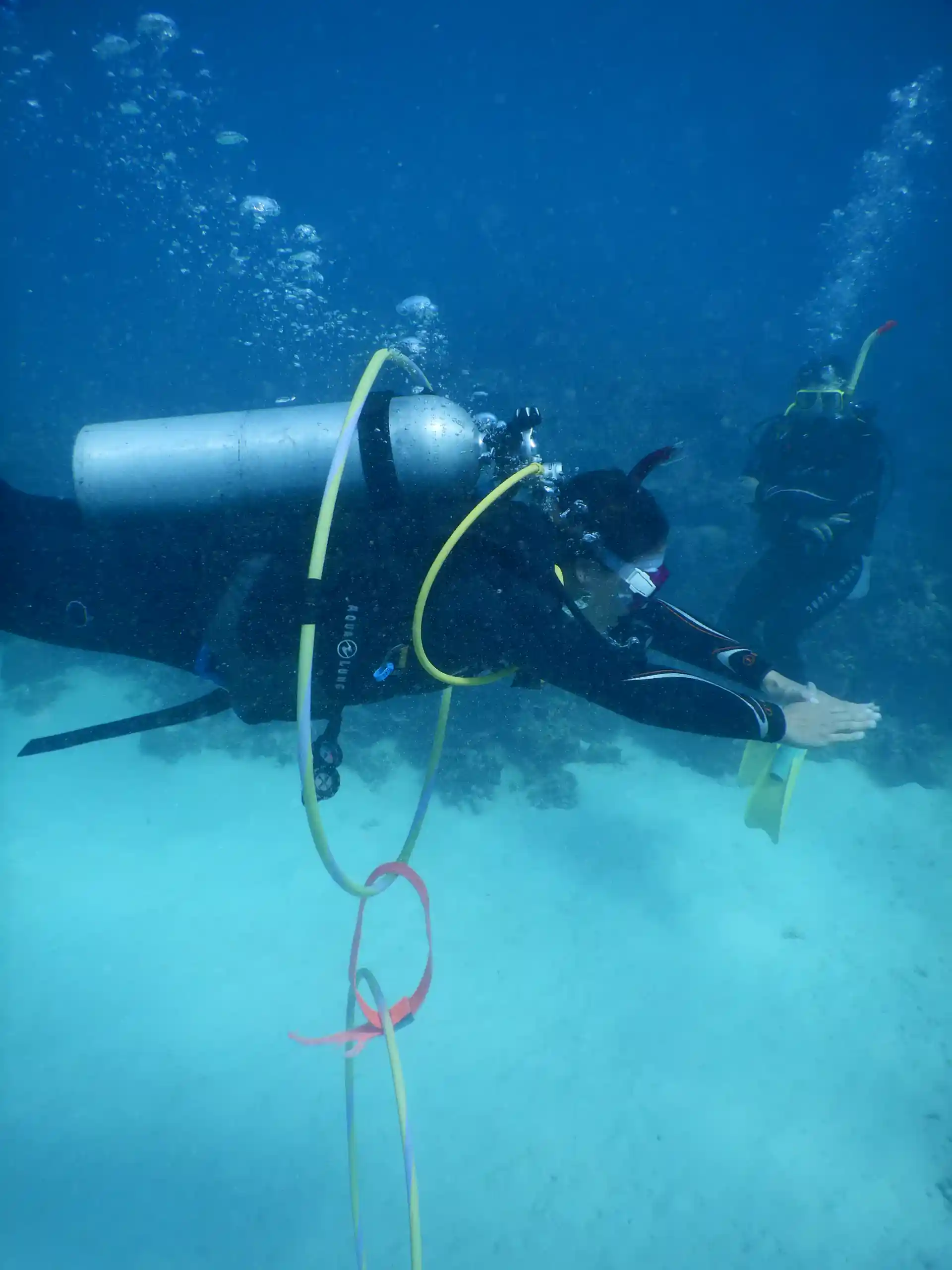 Photo de l'activité